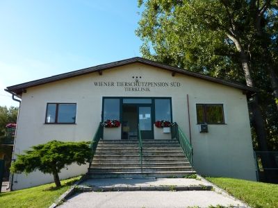 Gebäude der Tierklinik - Tierarzt in Brunn am Gebirge